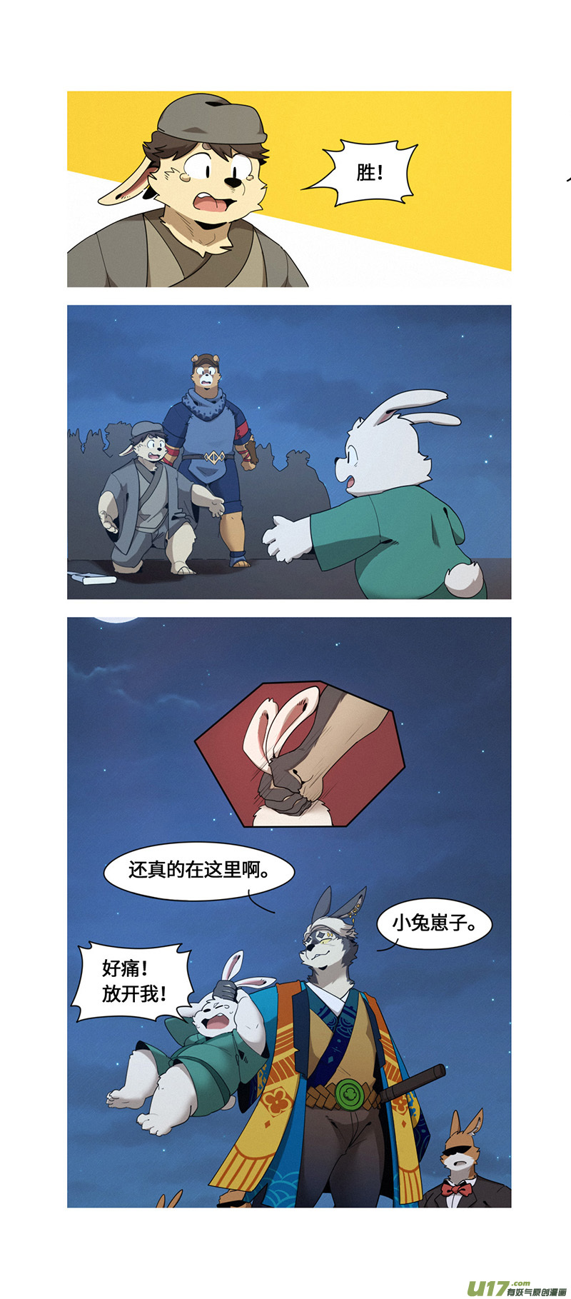 11.jpg