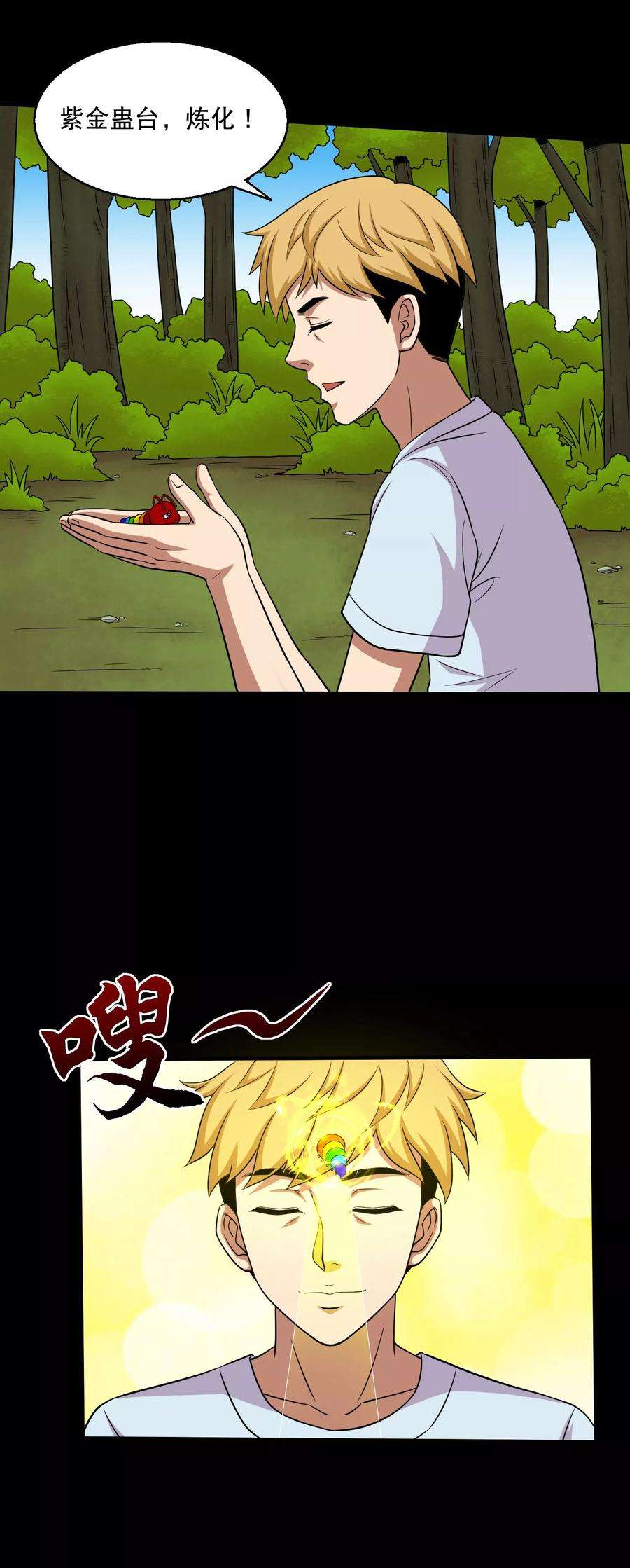8.jpg