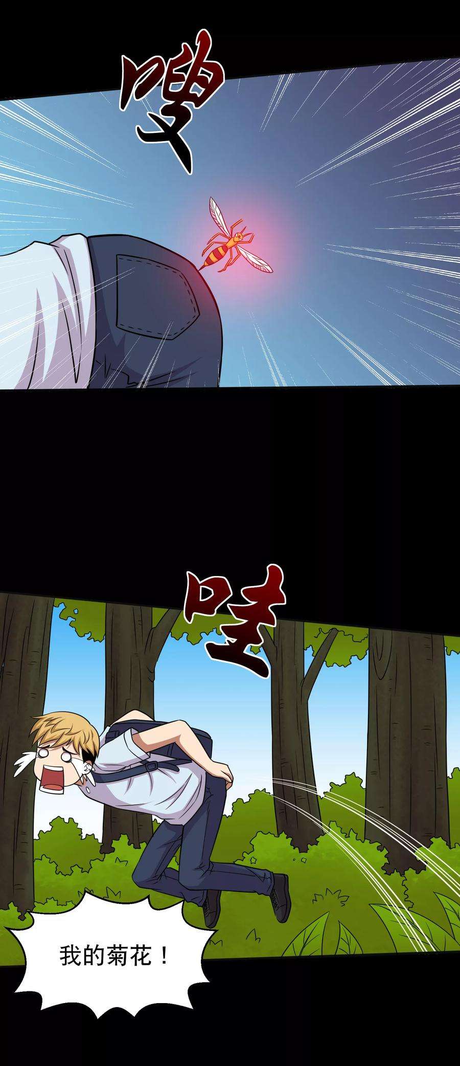 29.jpg