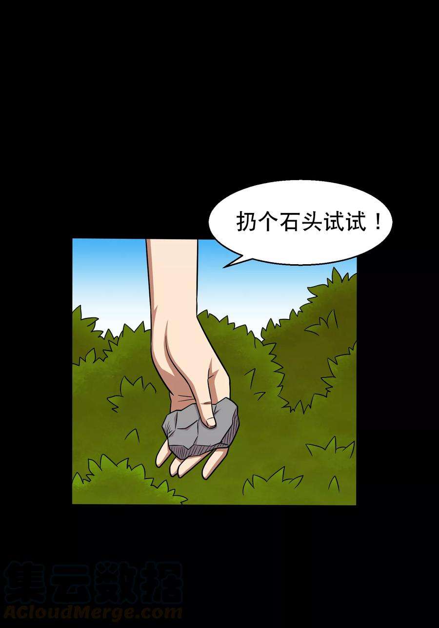 11.jpg