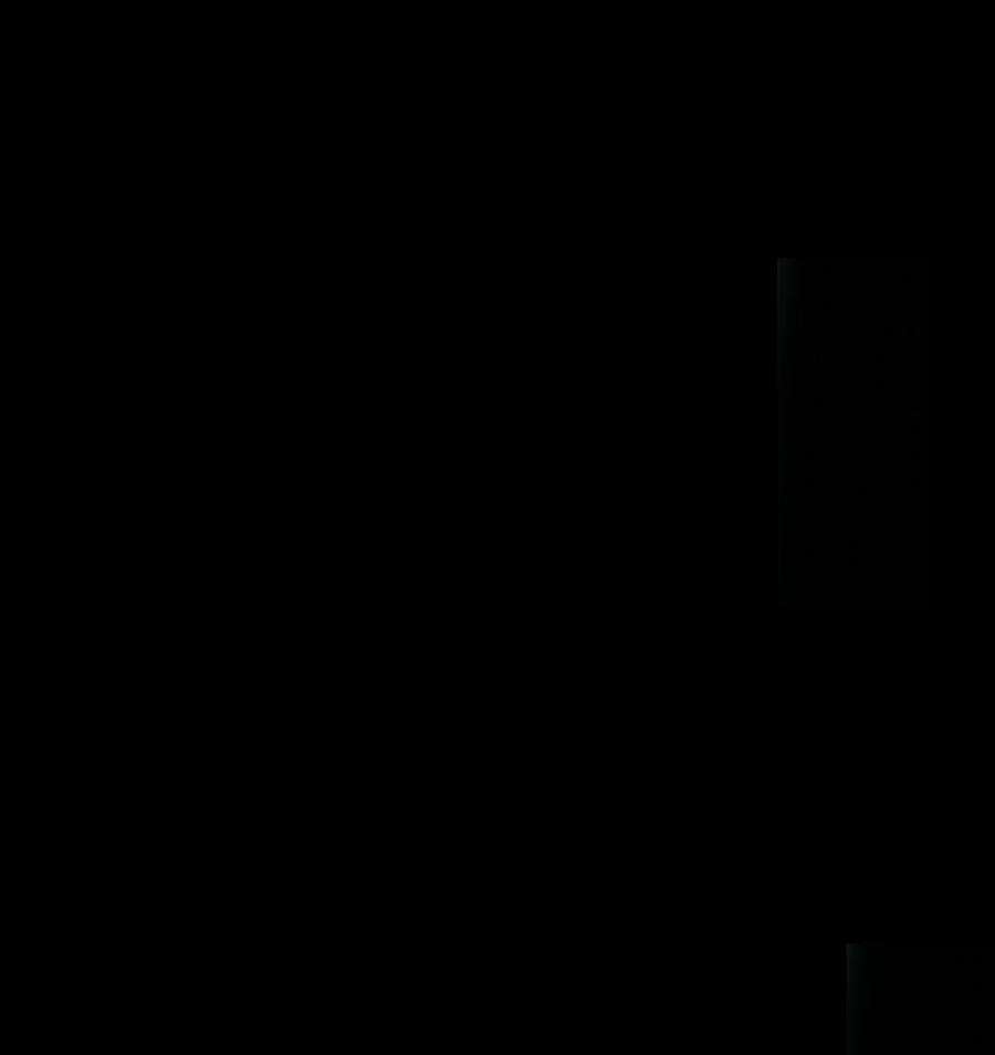 84.jpg