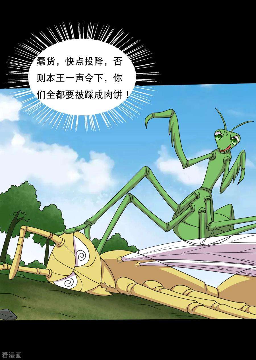 26.jpg