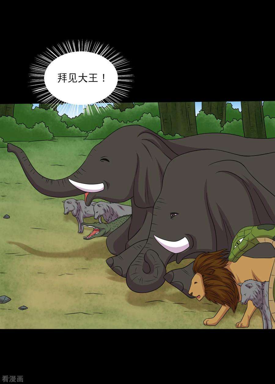 17.jpg