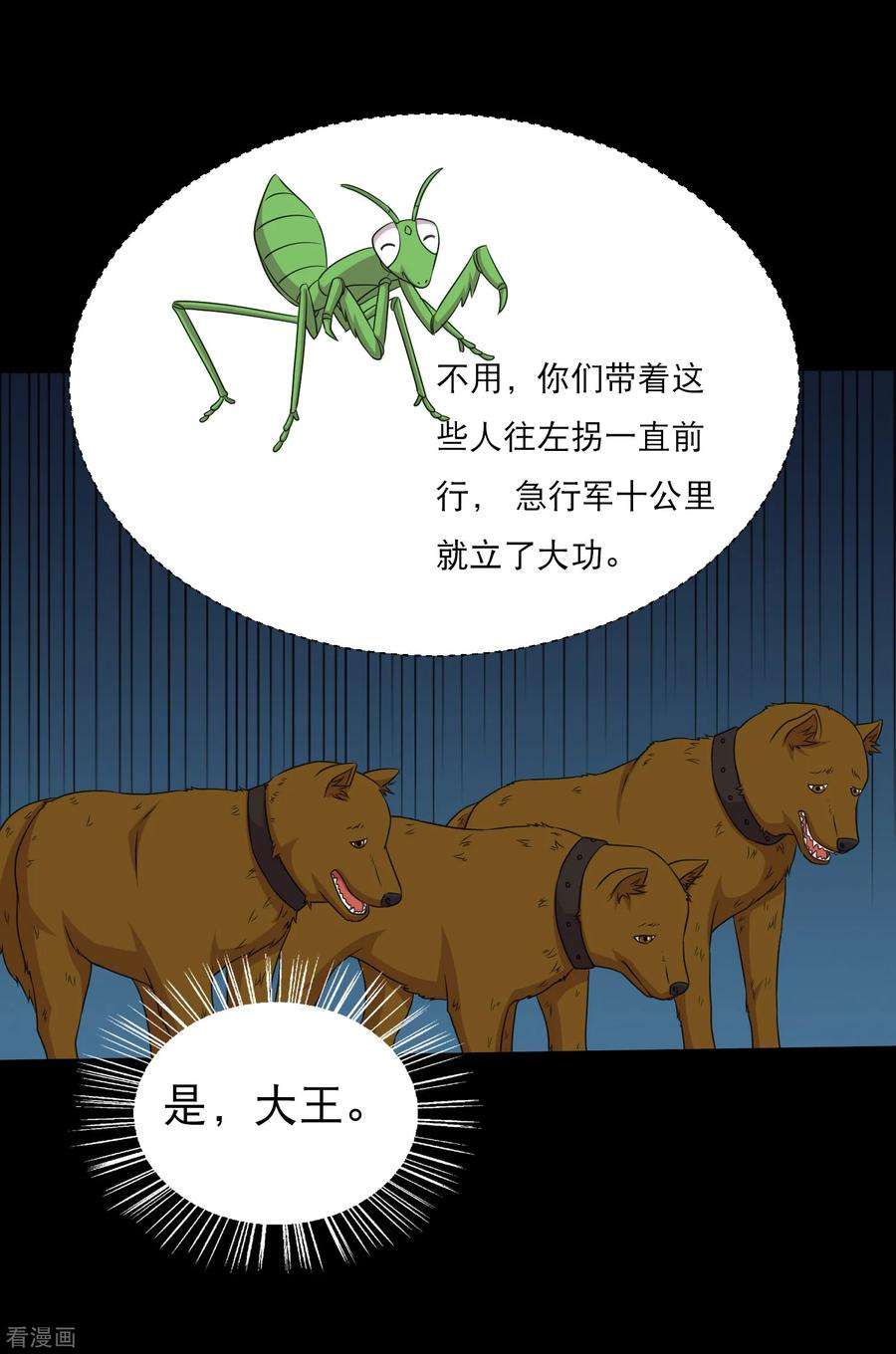 5.jpg