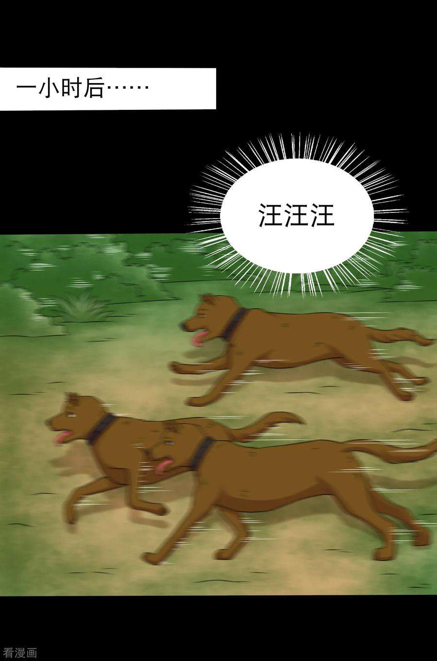 12.jpg