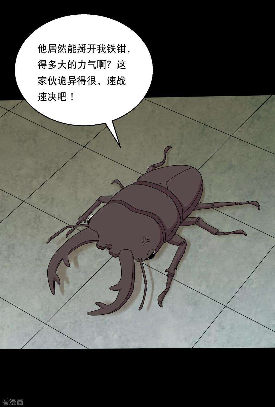 30.jpg