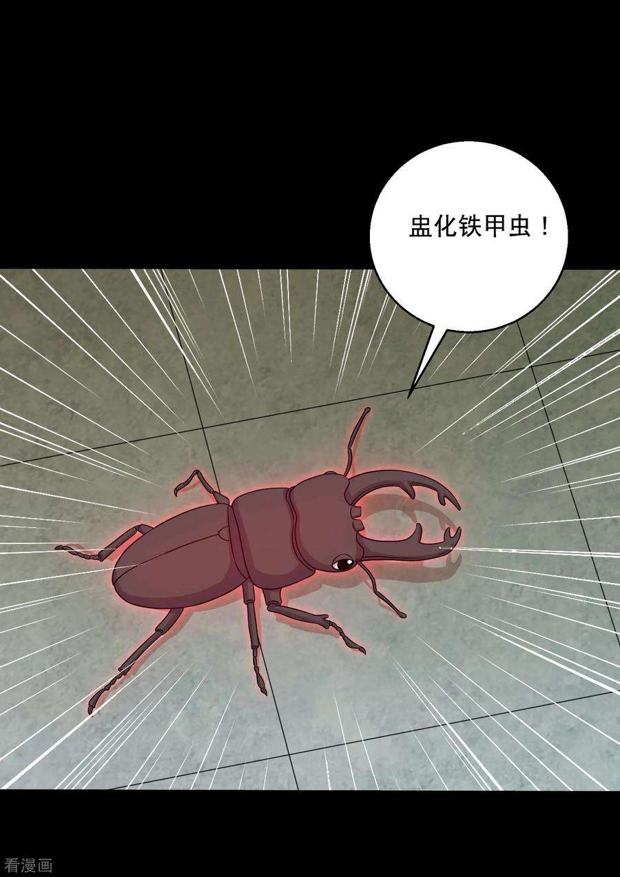 20.jpg