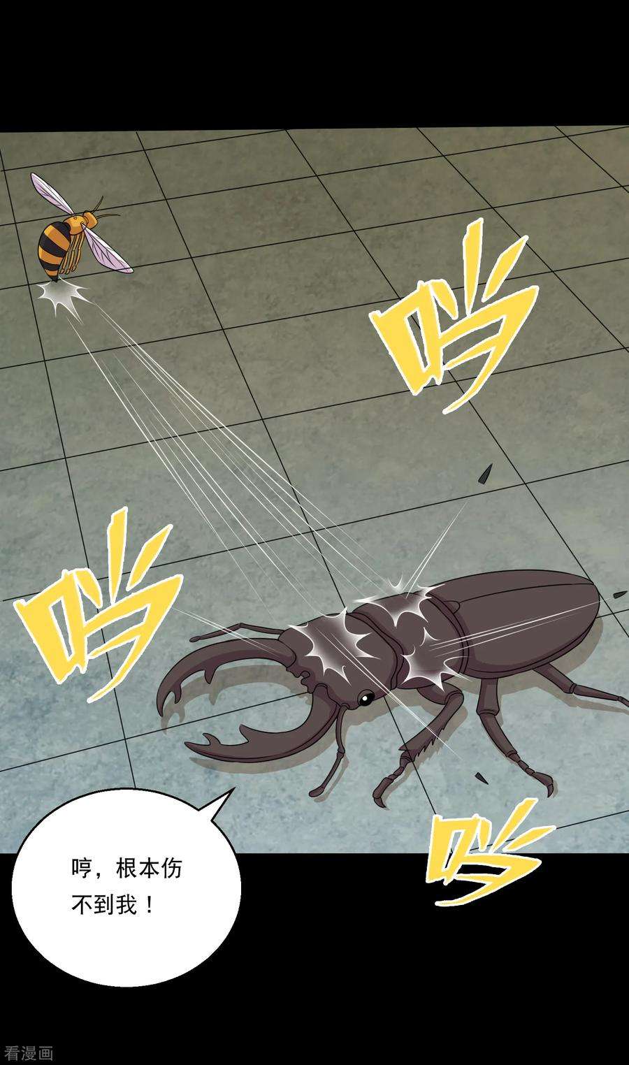 23.jpg