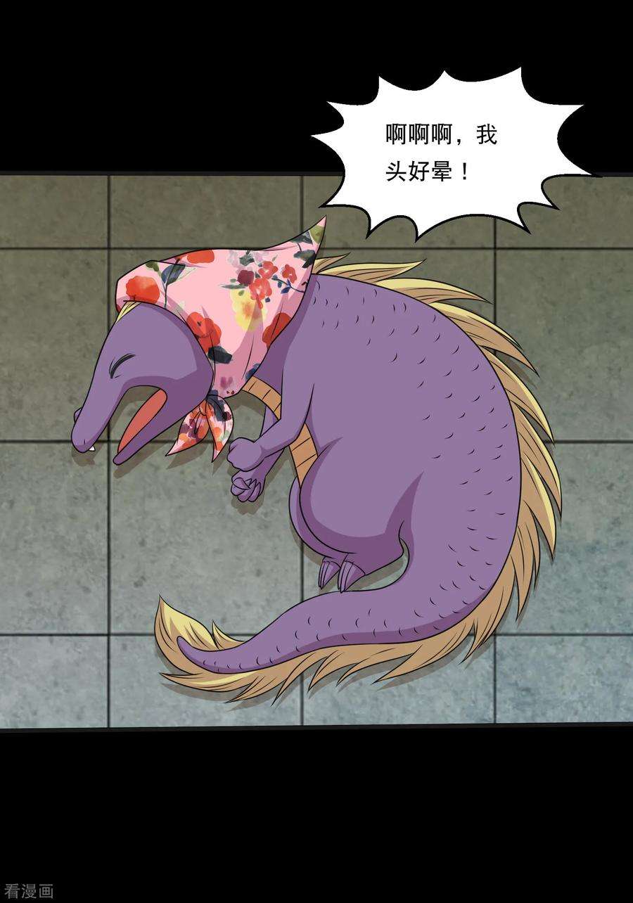 27.jpg