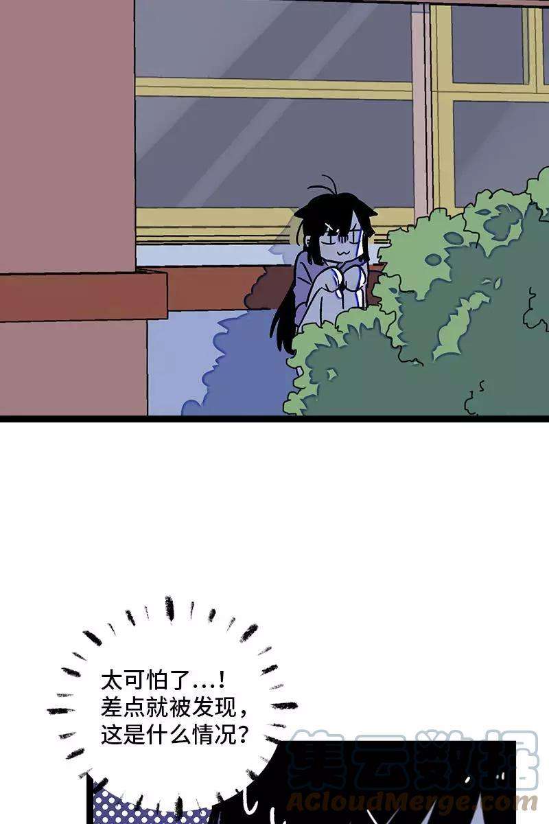 27.jpg