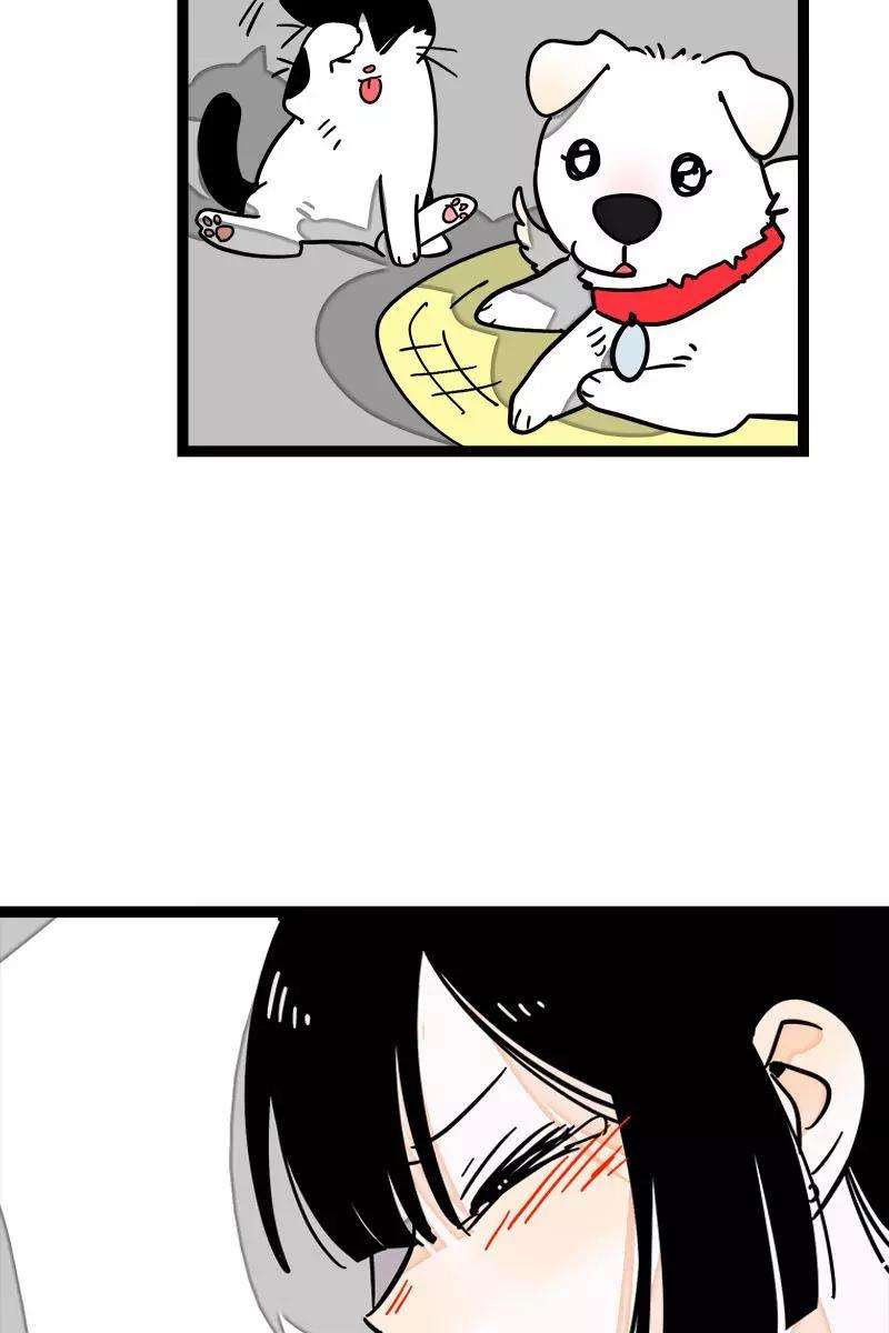 35.jpg