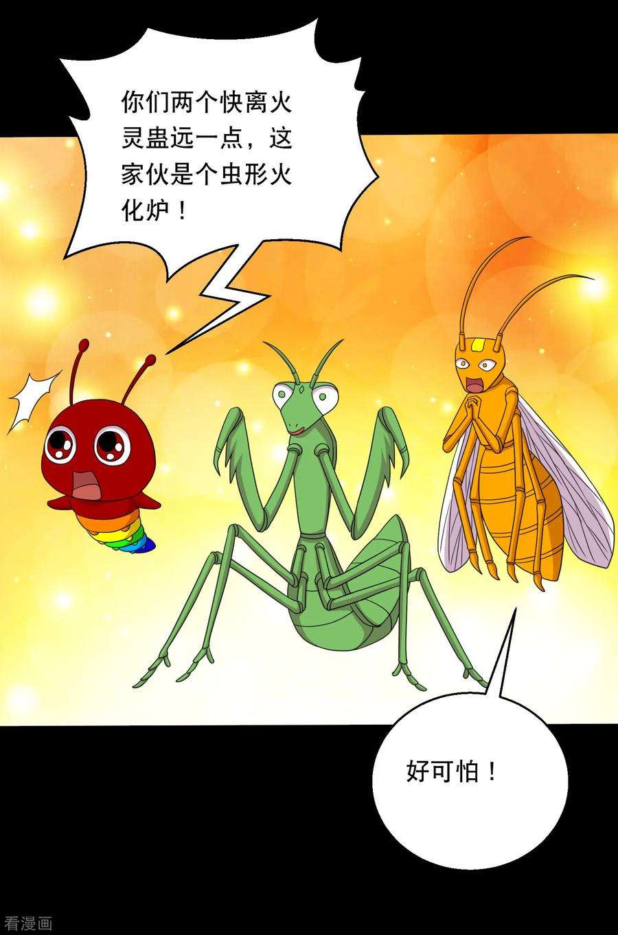 5.jpg
