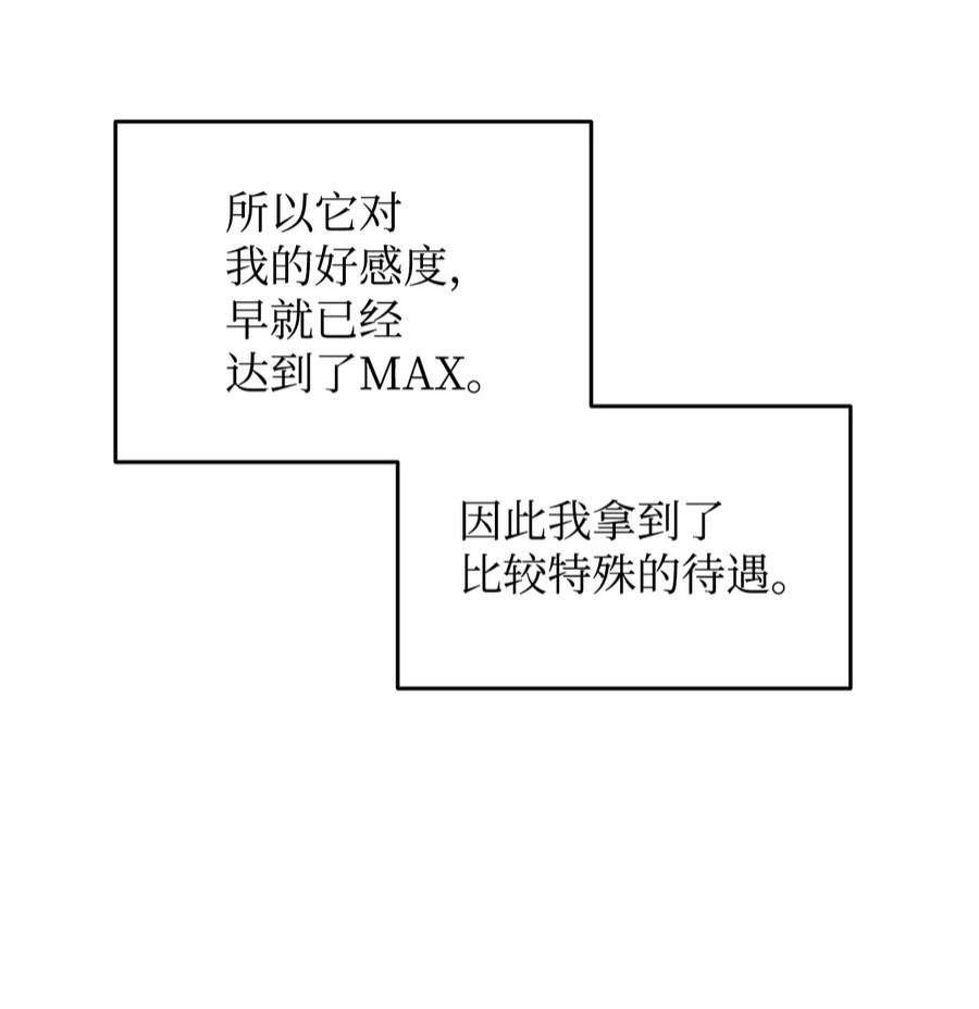 66.jpg