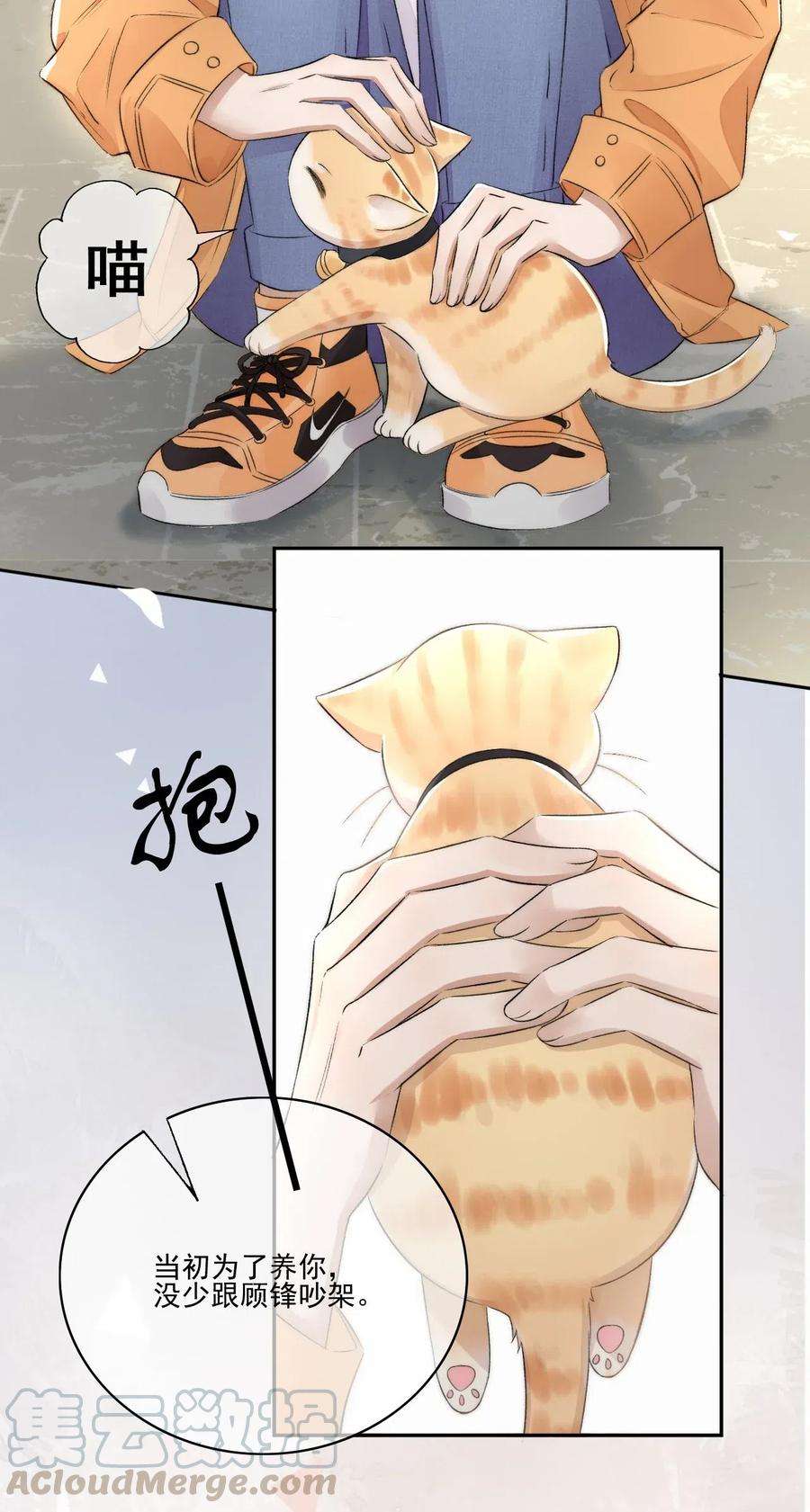 13.jpg