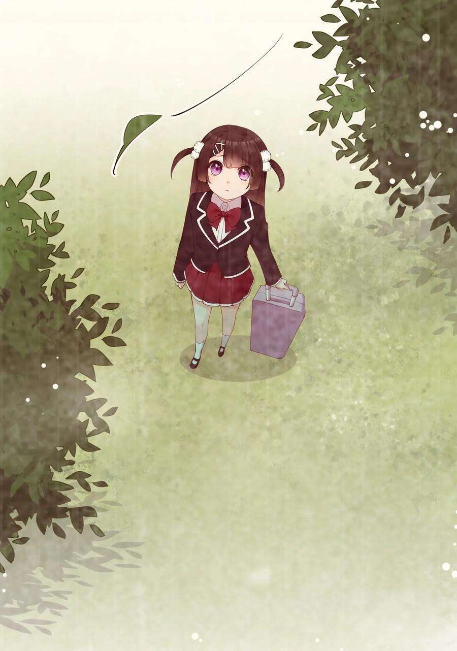 11.jpg