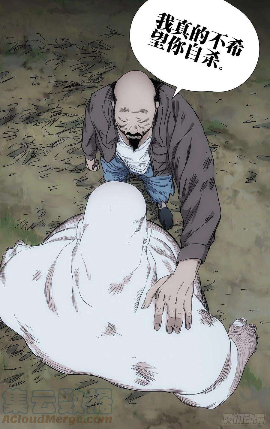 17.jpg