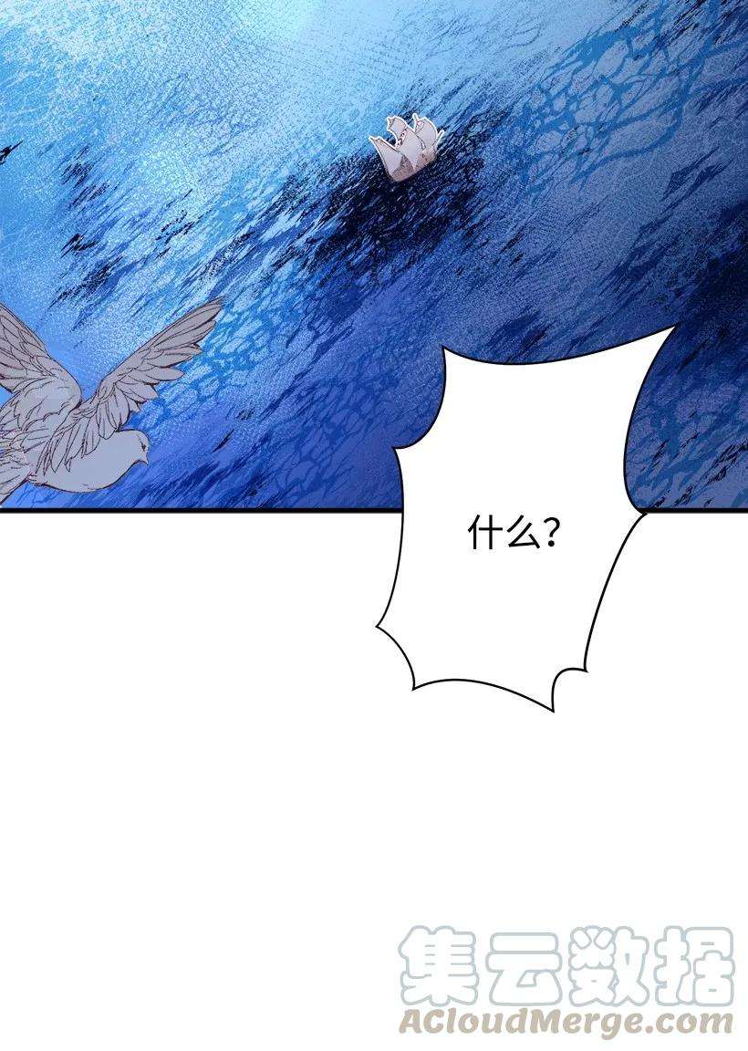 73.jpg