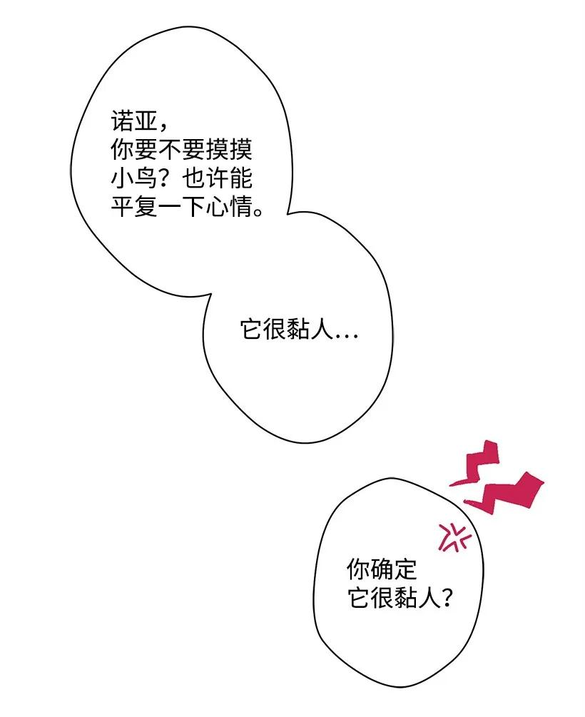 46.jpg