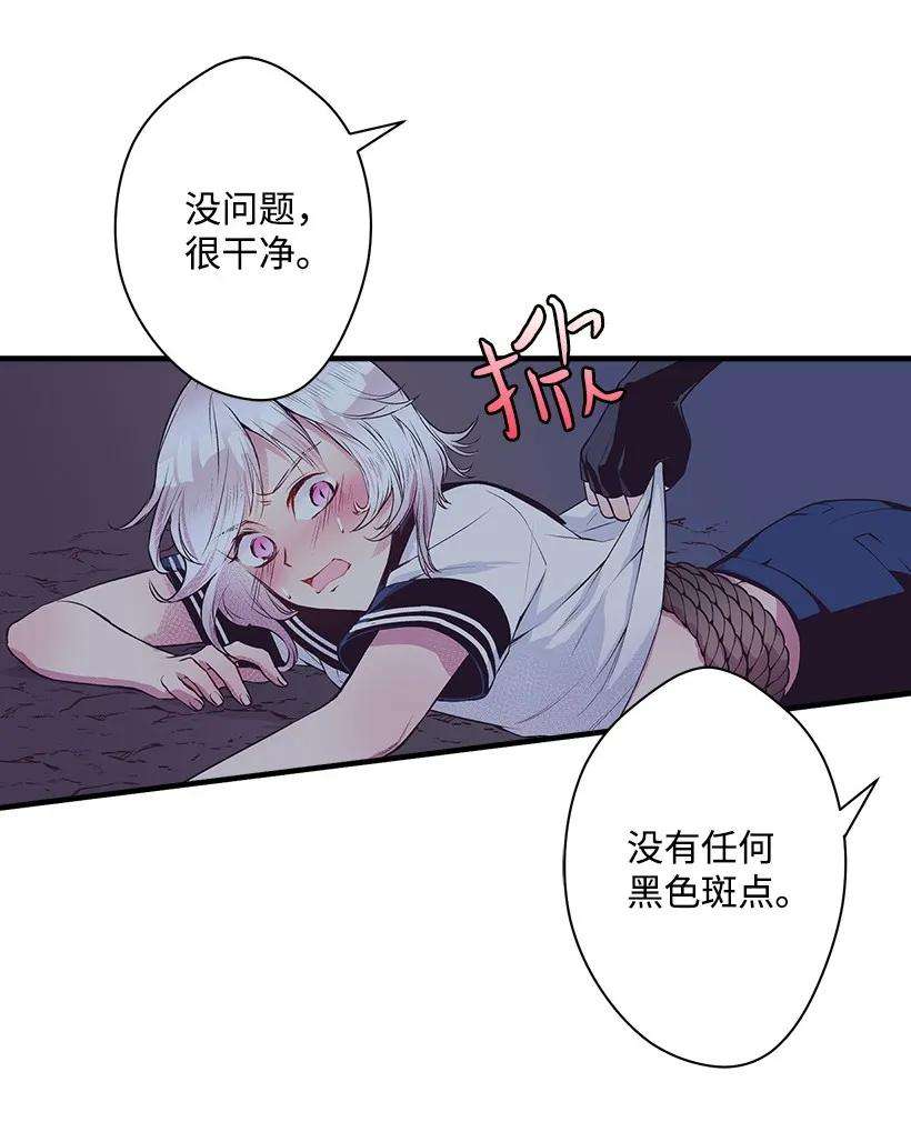 26.jpg