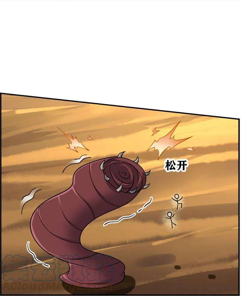 25.jpg