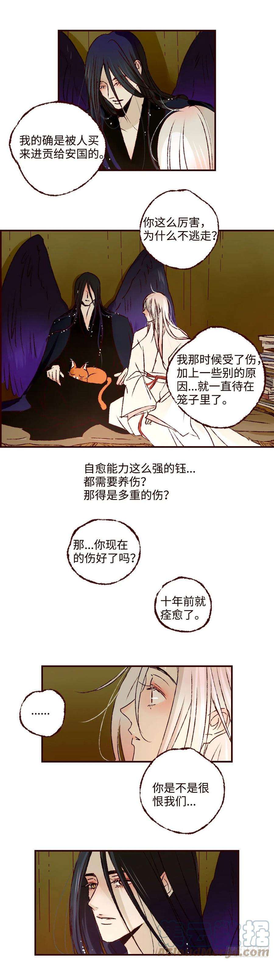11.jpg