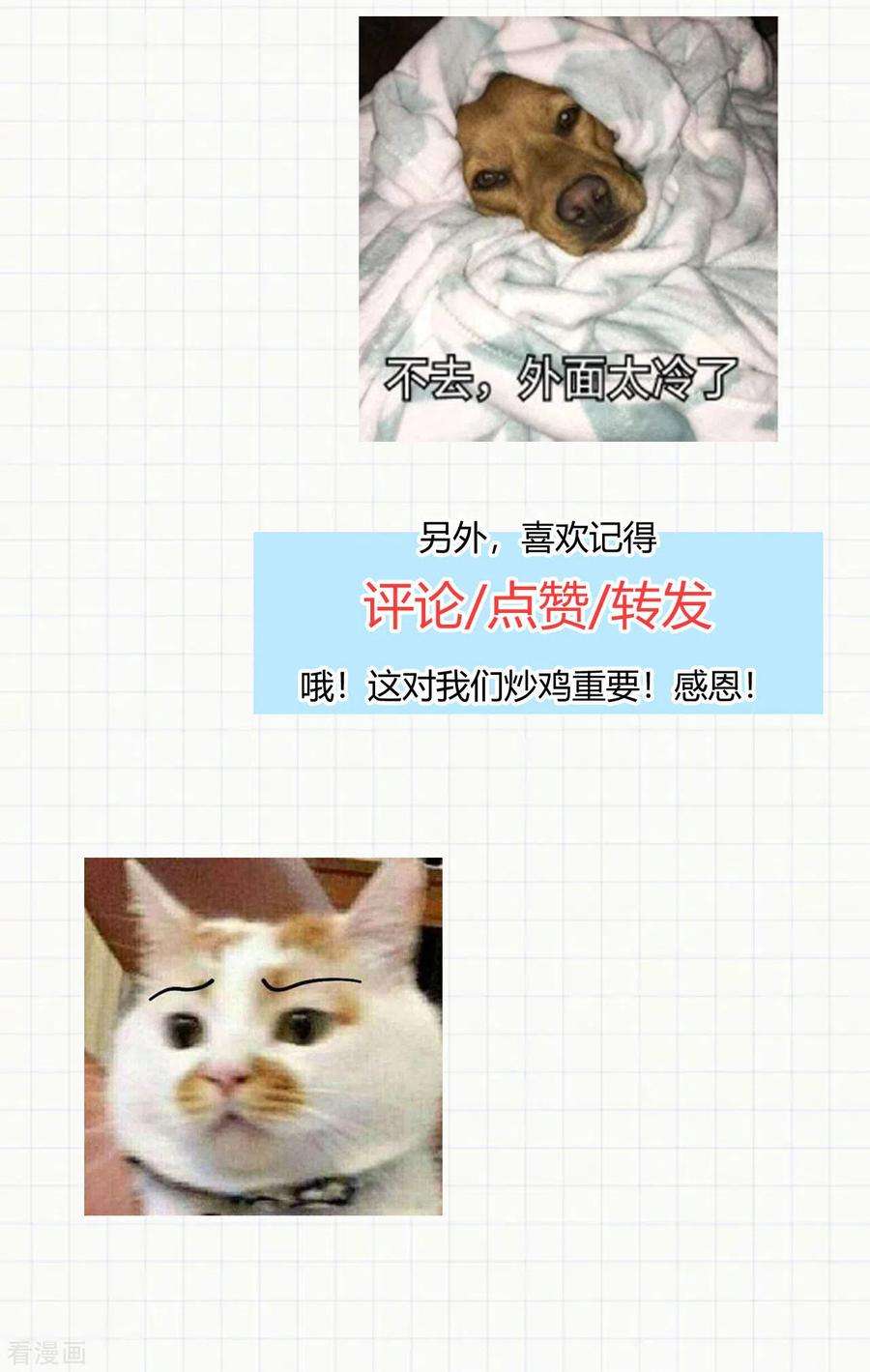 55.jpg