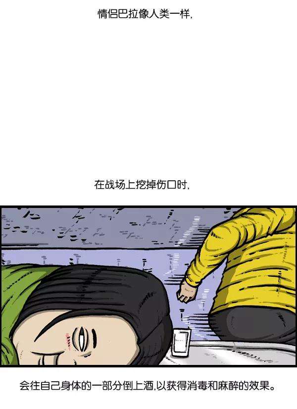 53.jpg