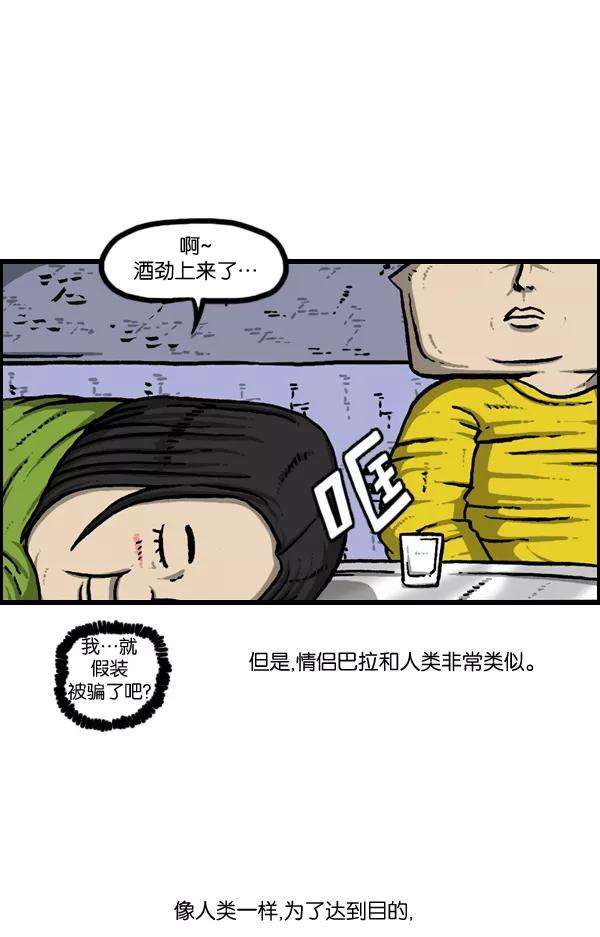 51.jpg