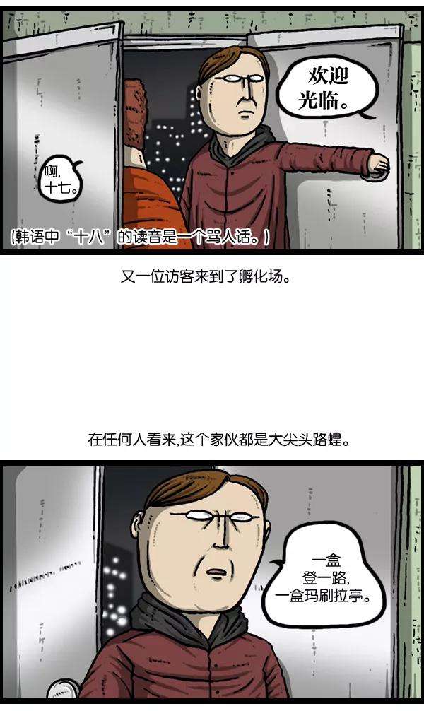 17.jpg