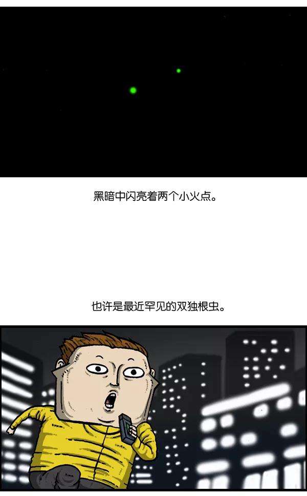 41.jpg