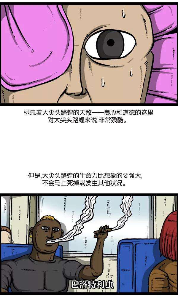 51.jpg