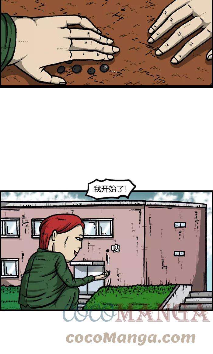 31.jpg