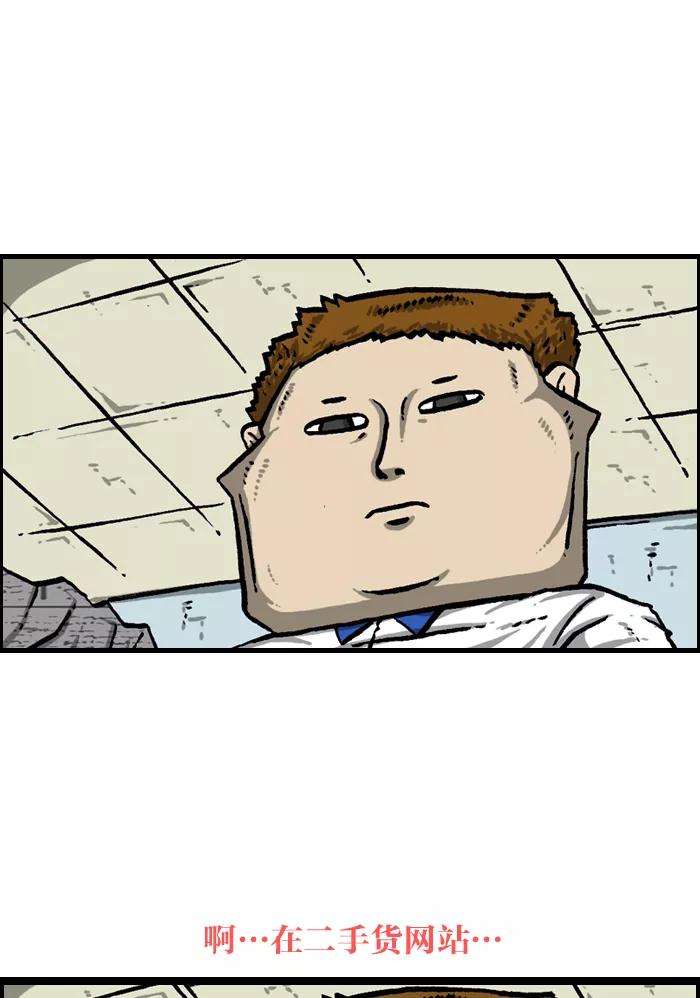 48.jpg