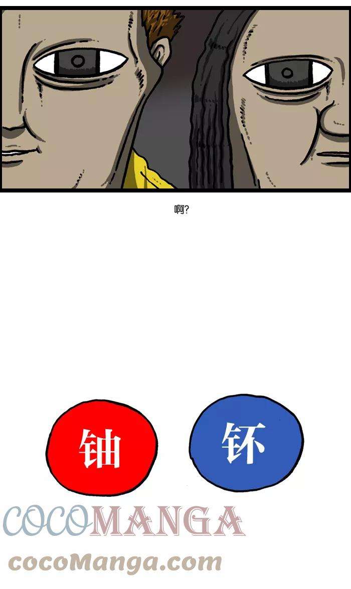 46.jpg