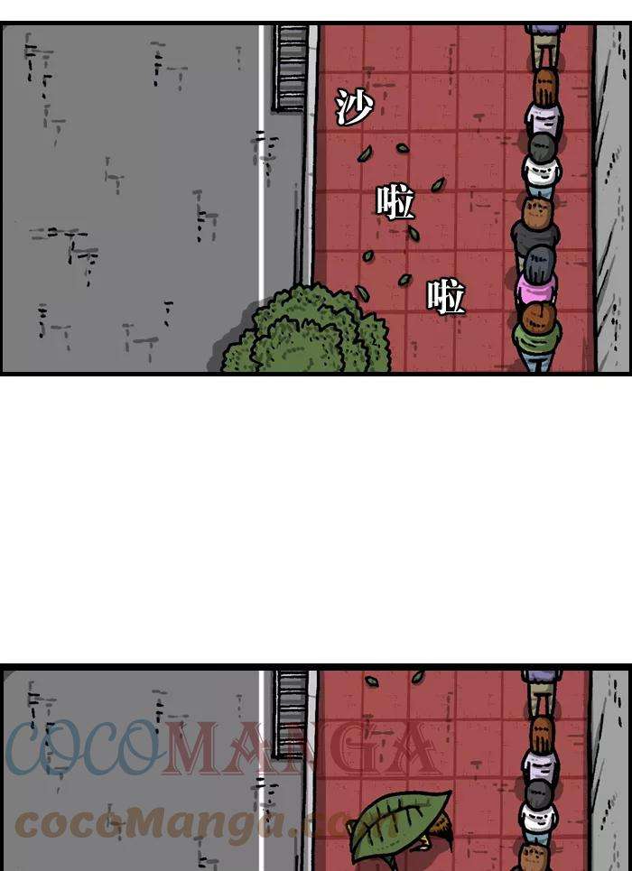 27.jpg