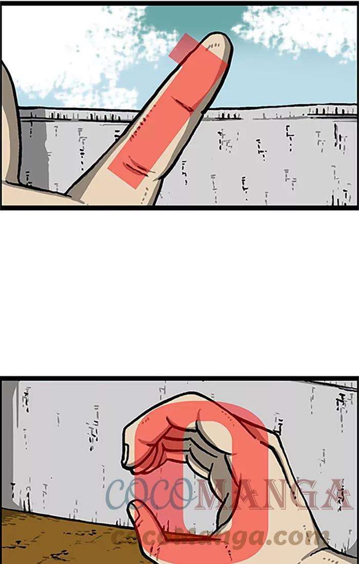 25.jpg