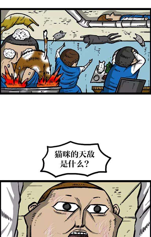 39.jpg