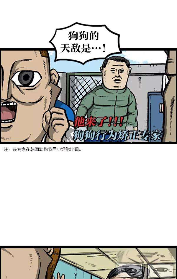 41.jpg