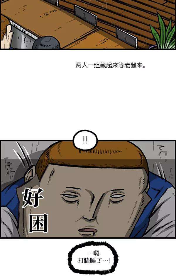21.jpg