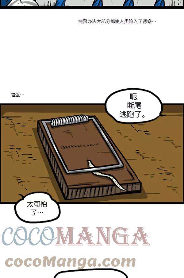 43.jpg