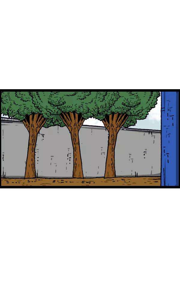 54.jpg