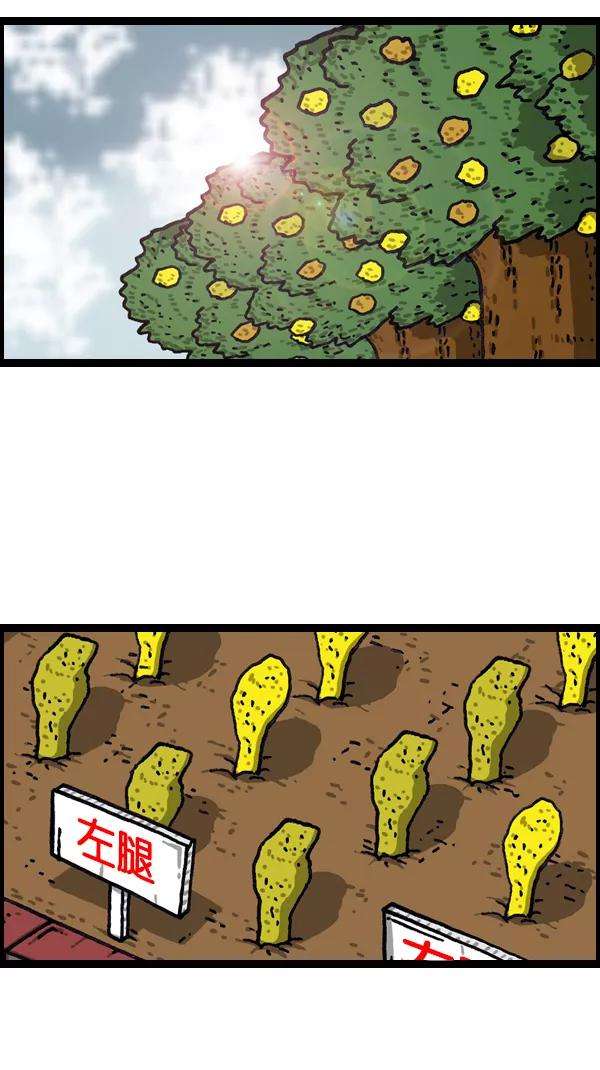 30.jpg