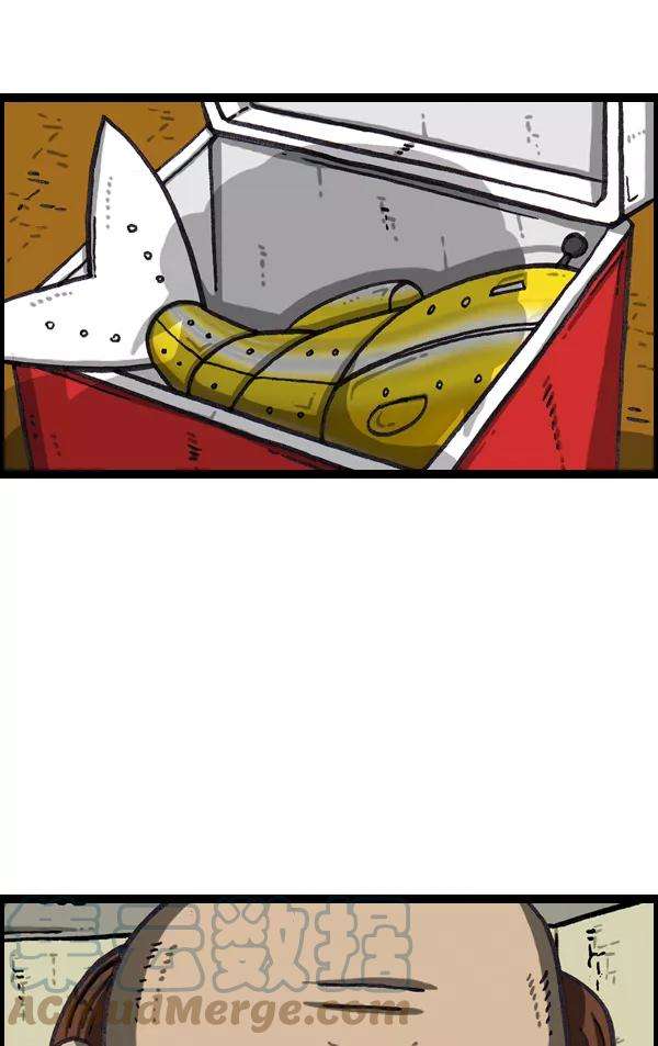 43.jpg
