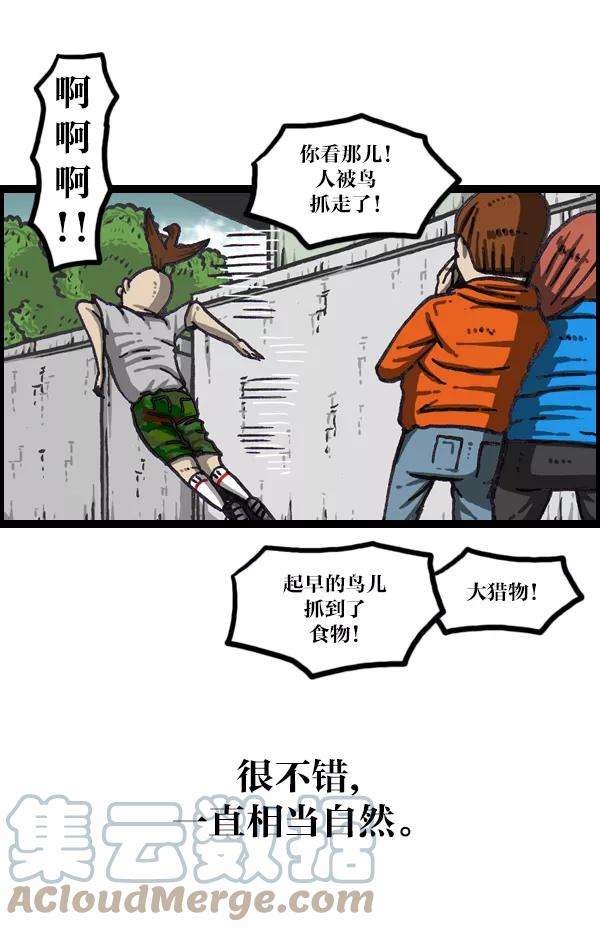 41.jpg