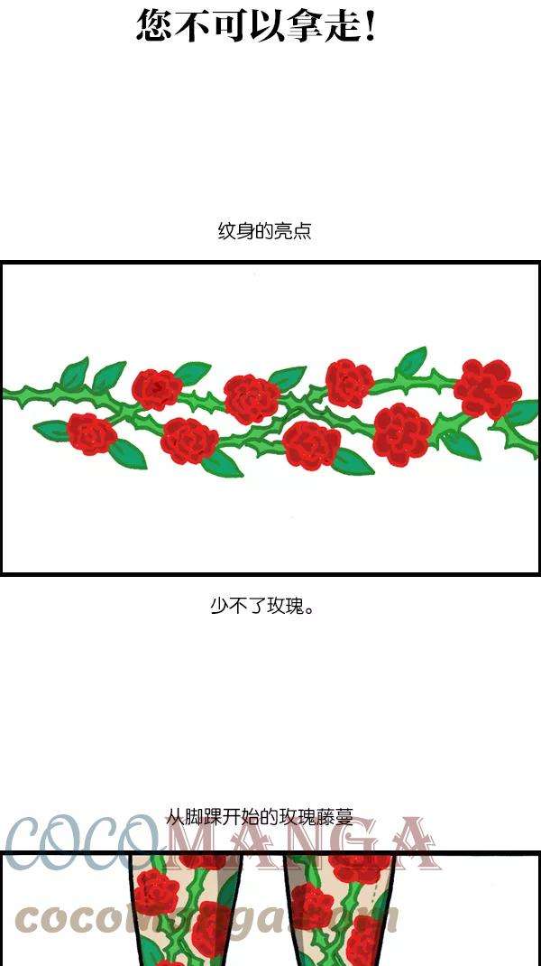 37.jpg