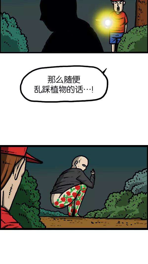 41.jpg