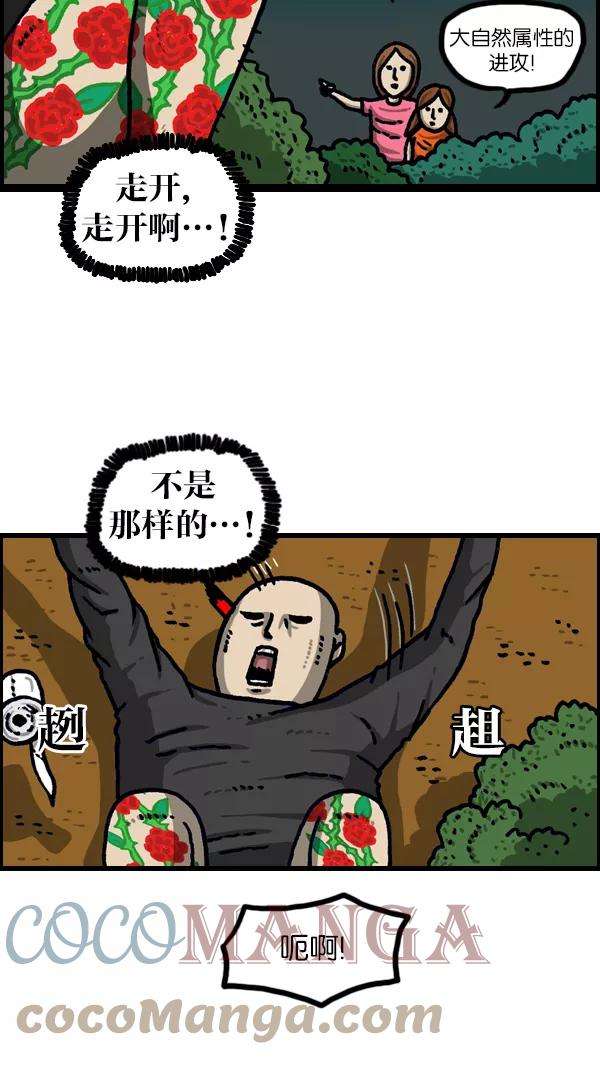 43.jpg