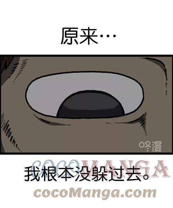 49.jpg