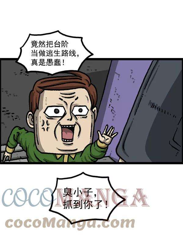 43.jpg