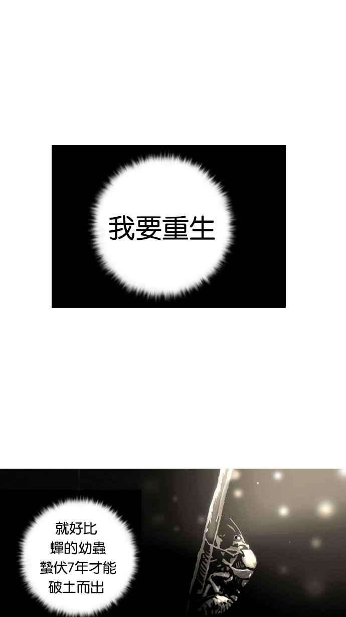 47.jpg